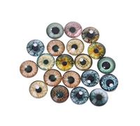 Cenifin 20 pezzi di vetro per occhi delle bambole, animali fai da te, bulbi oculari per dinosauri Eye Accessorie, punzonatura parole