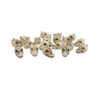 Cenifin Confezione da 20 piccole decorazioni a forma di teschio, in resina, per Halloween, feste, per Goth Garden Flowerpot Display Gothic Garden Decore