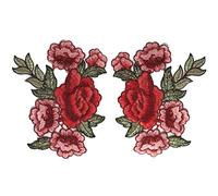 CENPEK 2 Toppe in Pizzo Floreale 3D, Ricamate con Fiori per Abiti Decorati in Stile Artigianale