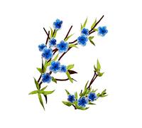 CENPEK 2 toppe ricamate a forma di fiore, da applicare con ferro da stiro, da cucire, colore blu