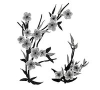 CENPEK 2 toppe ricamate delicate a forma di fiore, termoadesive da cucire, colore grigio
