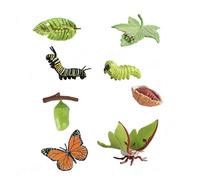 CENPEK 8Pcs Modello di Ornamento del Ciclo di Vita della Farfalla Modelli di Insetti Simulati per L'Istruzione Prescolare dei Bambini