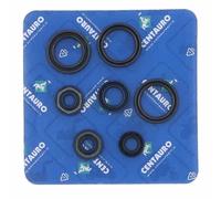 Centauro Guarnizioni Olio 411a127sr