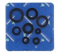 Centauro Guarnizioni Olio 666a126sr