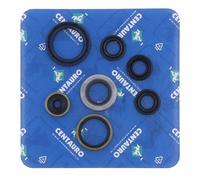 Centauro Guarnizioni Olio 731a004sr