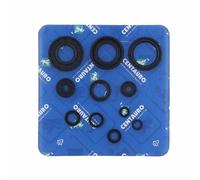 Centauro Guarnizioni Olio 990a143sr