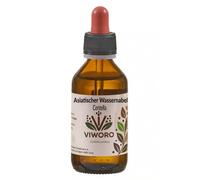 Centella Asiatica (Gotu Kola) - 100 ml