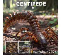 Centipede Calendar 2026: Many-Legged Crawlers with Creepy-Cool Curiosity