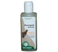 Centisia Shampoo alla Bava di Lumaca 200ml | Nutriente e Rigenerante | Con Proteine della Seta, Estratti di Olivo e Camomilla, Pantenolo | Per Capelli Fragili, Sfibrati e Tinti
