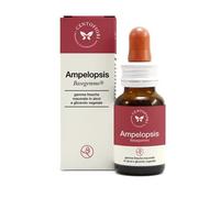 Cento Fiori AMPELOPSIS WEITCHII BASEGEMMO 30 ML
