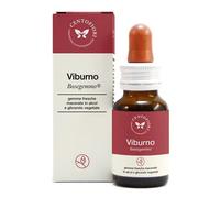 Cento Fiori VIBURNO BASEGEMMO 30 ML