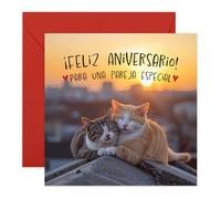Central 23 Aniversario Tarjeta Gato Atardecer Pareja Amor Padres Familia Viene Con Pegatinas Regalo Aniversario Lindo Regalo Por
