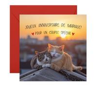 Central 23 Anniversaire Carte Chat Coucher Soleil Couple Amour Mère Père Vient Avec Stickers Cadeau Anniversaire Cadeau Mignon Par