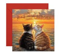 Central 23 Anniversaire Carte Chats Romantique Coucher Soleil Couple Ami Vient Avec Stickers Cadeau Anniversaire Cadeau Mignon Par