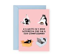 Central 23 Biglietto di compleanno divertente per lei o lui - A 4 GATTI SU 5 - Biglietto di compleanno per donna uomo - Biglietto di compleanno gatto per ragazza, sorella, amica - con adesivi
