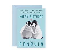 Central 23 Biglietto Di Compleanno Per Fidanzato Fidanzata, Biglietto Di Compleanno Per Moglie, Regalo Di Pinguino Per Lui E Lei, Viene Fornito Con Divertenti Adesivi Con Busta