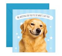 Central 23 Divertente biglietto di compleanno con cane - Golden Retriever sorridente scherzo - simpatico animale umoristico per lui, lei, uomini, donne, amici, bambini, ragazze, ragazzi, sorella