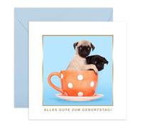 Central 23 Lustige Geburtstagskarte Two Pugs In A Mug Freund Bruder Schwester Aufkleber Von