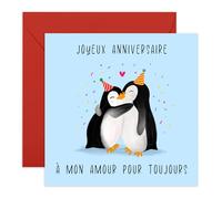 Central 23 Mari Carte Anniversaire Pingouin Amour Romantique Homme Couple Vient Avec Stickers Cadeau Anniversaire Cadeau Mignon Par