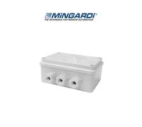 Centrale di comando per 2 motori Mingardi Bianca art. 2700171