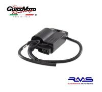 CENTRALINA ACCENSIONE ELETTRONICA SCOOTER PIAGGIO NRG GILERA TYPHOON 246010070