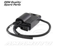 CENTRALINA BOBINA ACCENSIONE PIAGGIO ZIP 50 1995/1996 SSP2T
