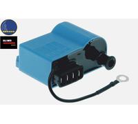 CENTRALINA BOBINA ELETTRONICA PIAGGIO APE 50 P50 FL MIX EUROPA CROSS