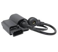 Centralina C4 per Piaggio Fly 50 4T-2V 2013-2017