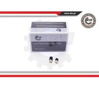 Centralina cambio automatico 17SKV470 ESEN SKV per MERCEDES-BENZ CLASSE E CLS