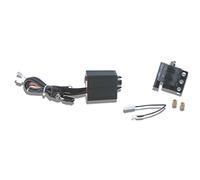 Centralina CDI con bobina Malossi K15 RPM Control per AM6, Derbi -2006