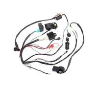 Centralina CDI Modulo Cablaggio CDI Statore Cablaggio ATV Quad Elettrico Per 50 70 90 110CC Con Raddrizzatore Chiave Di Accensione Bobina Unità CDI Uccidi