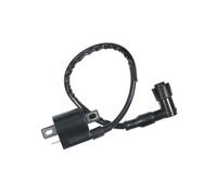 Centralina cdi Parti Del Motociclo CDI Accenditore Raddrizzatore CG Relè Pacchetto Ad Alta Tensione Per 50 125 150 250CC ATV Pit Dirt Bike Kit Elettrico