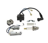 Centralina CDI per Moto, accensione, Magnete, statore, Bobina di accensione CDI per Motori a 2 Tempi da 49cc, 60cc, 66cc e 80cc, Accessori per Moto.
