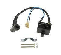 Centralina CDI per Moto, accensione, Magnete, statore, Bobina di accensione CDI per Motori a 2 Tempi da 49cc, 60cc, 66cc e 80cc, Accessori per Moto.