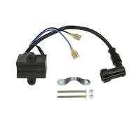 Centralina CDI per Moto, accensione, Magnete, statore, Bobina di accensione CDI per Motori a 2 Tempi da 49cc, 60cc, 66cc e 80cc, Accessori per Moto.