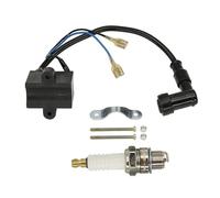 Centralina CDI per Moto, accensione, Magnete, statore, Bobina di accensione CDI per Motori a 2 Tempi da 49cc, 60cc, 66cc e 80cc, Accessori per Moto.