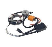 Centralina CDI per Moto, Bobina di accensione, rotore, statore, Magnete, Set di centraline CDI per RM80 1996-2001, RM85 2002-2017, RM85L 2003-2020, Motocross.