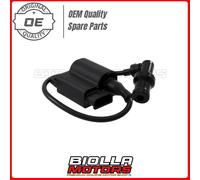 CENTRALINA CDI PIAGGIO FREE 100 2002-2003 246010501 (R.O.: 969896, AP8224394)