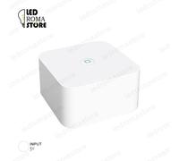CENTRALINA DIMMER SMART WIFI CONTROLLO ILLUMINAZIONE SCENARI COMANDO VOCALE