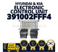 Centralina elettronica originale OEM Hyundai Kia ECU 391002FFF4