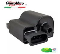 CENTRALINA ELETTRONICA SCOOTER MOTORE PIAGGIO 50 4 TEMPI CA00008