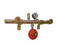 CENTRALINA GAS 2 ELEMENTI CON ATTACCO CENTRALE kg/h 4