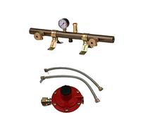 CENTRALINA GAS TUBOLARE 2 ELEMENTI CON MANOMETRO VALVOLA E FLESSIBILE 2 att