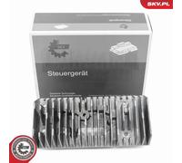 ESEN SKV 59SKV283 Centralina, Illuminazione