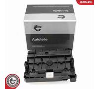 ESEN SKV 96SKV323 Centralina, Gestione motore