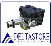 CENTRALINA MOTORE KOHLER 9,5HP CH395 AVV MANUALE CON POMPA GR2 A SCELTA LANTERNA