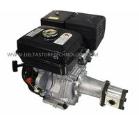 CENTRALINA MOTORE LONCIN 4T 14 HP CON LANTERNA, POMPA GR2 E FLANGETTE DELTASTORE