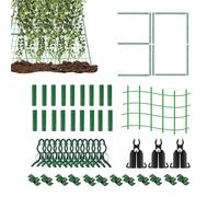 Centrifuga per cetriolo - Telaio di supporto in metallo , supporto per ortaggi da giardino con fibbie, struttura per la crescita delle piante per uva di , organizzatore per piante