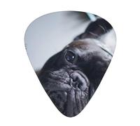 Centro commerciale Bulldog francesi Cani neri Animali domestici,12 pezzi di plettri per chitarra, 3 plettri di diverso spessore per chitarra acustica, basso, ukulele