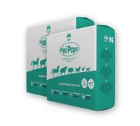 Centrovete - PipiPopo Tappetini Igienici Assorbenti Monouso - Per Cani e Gatti - Traversine con Design a 5 Strati - Angoli Adesivi e Neutralizzazione degli Odori - 2 Confezioni da 100 Pezzi - 60x60cm